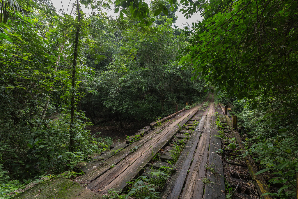 Pipeline Road Pipeline Road Gamboa, Panama John Fritchey Flickr