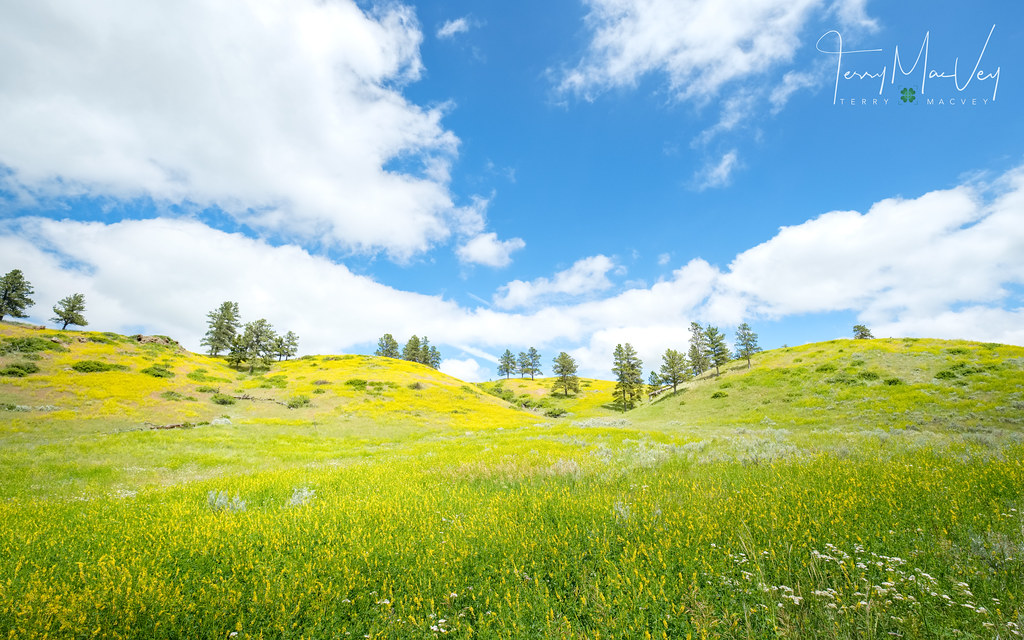 Montana Highway 314. Busby, Montana, USA Montana Highway 3… Flickr