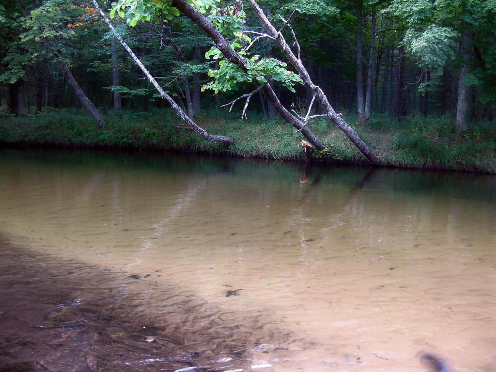 08PereMarquetteRivera_3045 Pere Marquette River Manistee… Flickr