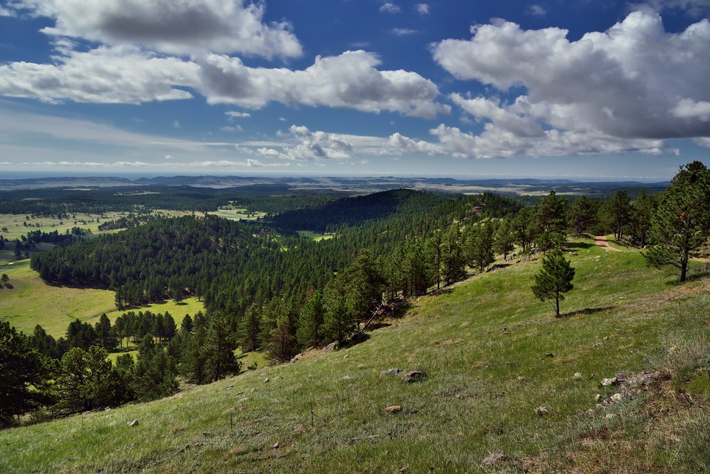 Ponderosa Pines and Rolling Hills Along the Rankin Ridge N… Flickr