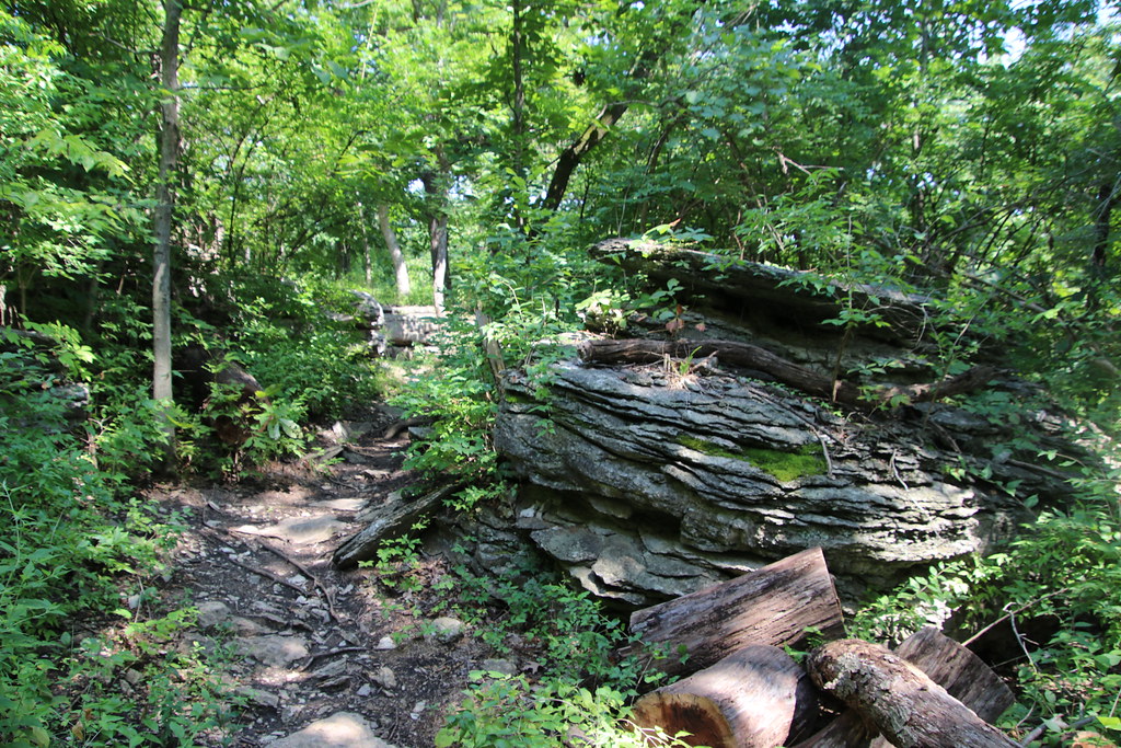 Pictures of Lakeside Nature Center (Kansas City, Missouri