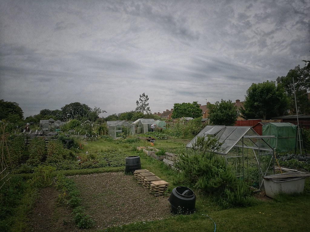 PBWA Rickmansworth Springwell Avenue Allotment Ian Wood Flickr