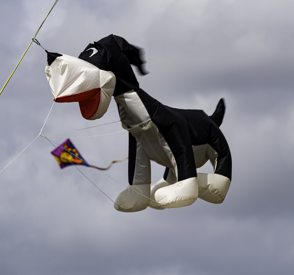 Dog Kite Chris Willis Flickr
