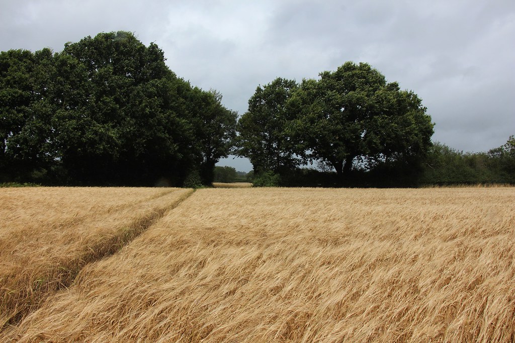East Grinstead Circular SWC1 Steven Coles Flickr