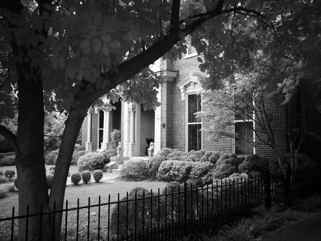 Gratz Park Lexington, Ky Democratic Underground