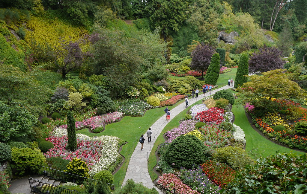Elevation of Doncaster Dr, Victoria, BC V8P 3V8, Canada Topographic