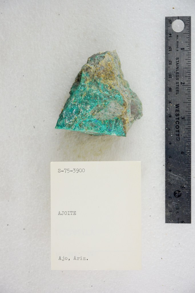 Ajoite New Cornelia Ajo Arizona, USA Pacific Museum of Earth Flickr