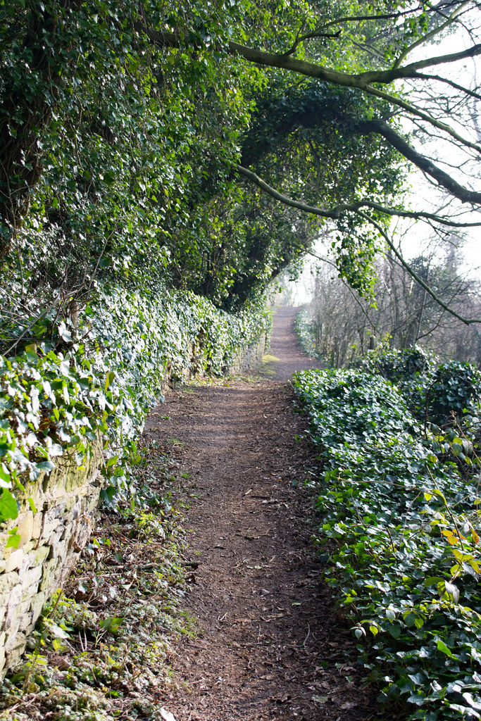 Brimington Common, Derbyshire32.jpg Edward Kendal Flickr