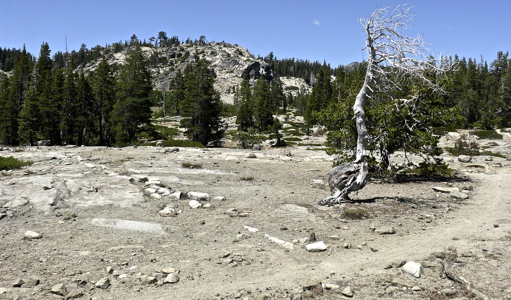 Looking 330º on trail to Lake Angela & Catfish Pond L10802… Flickr