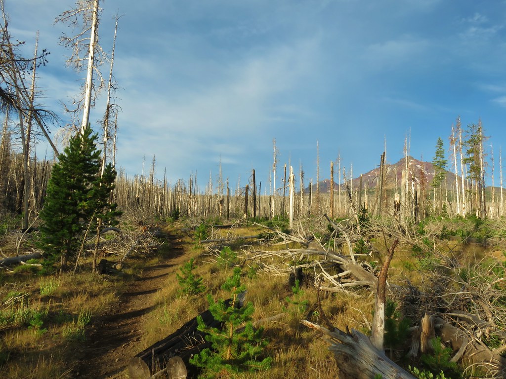 Thayer Glacial Lake 8/13/2019 wanderingyuncks