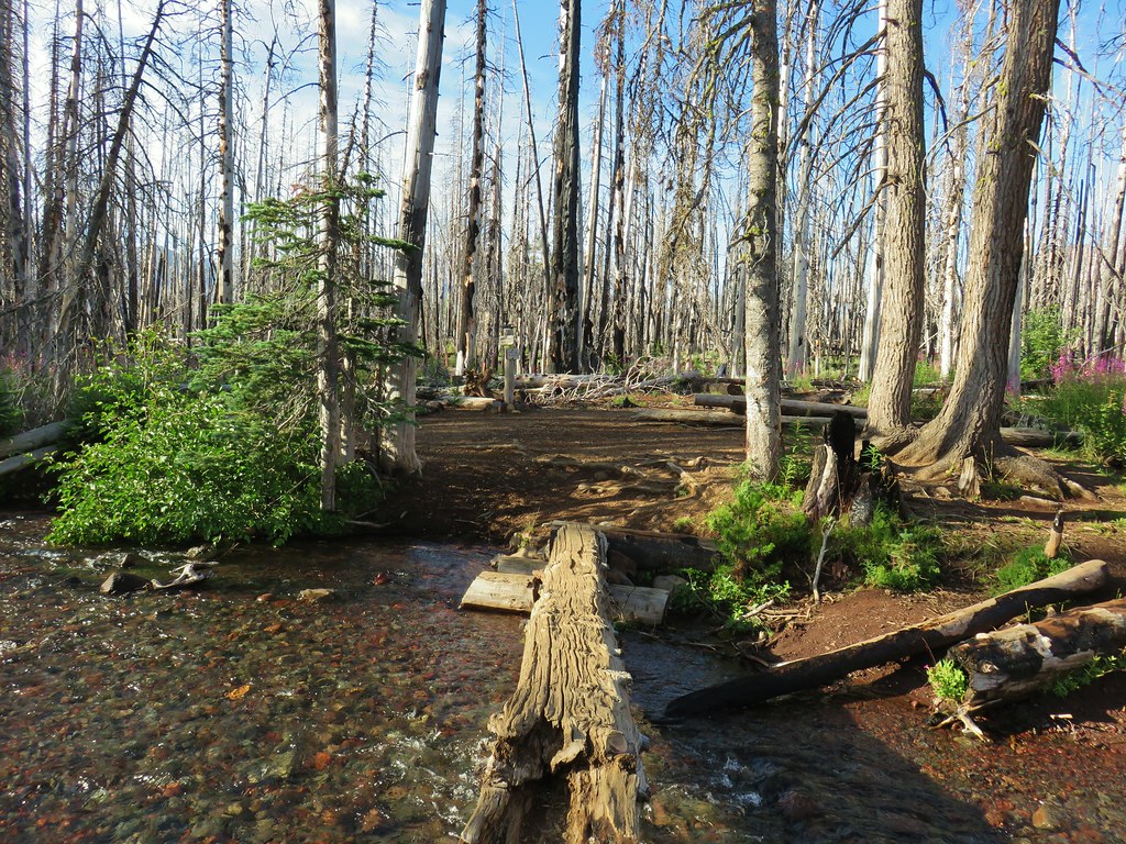 Soap Creek wanderingyuncks