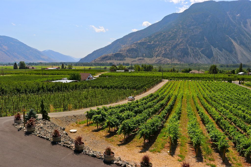 Similkameen Valley Vineyard Ian Flickr