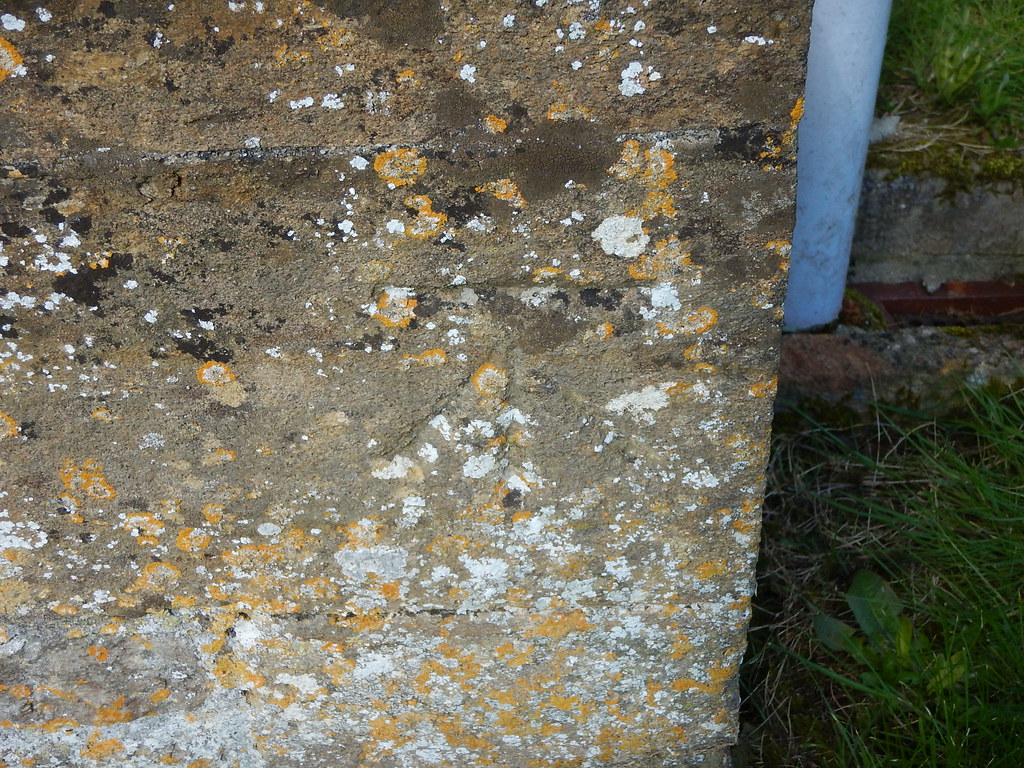 Cut Mark Beer Hackett, St Michaels Church CUT MARK NBM S… Flickr