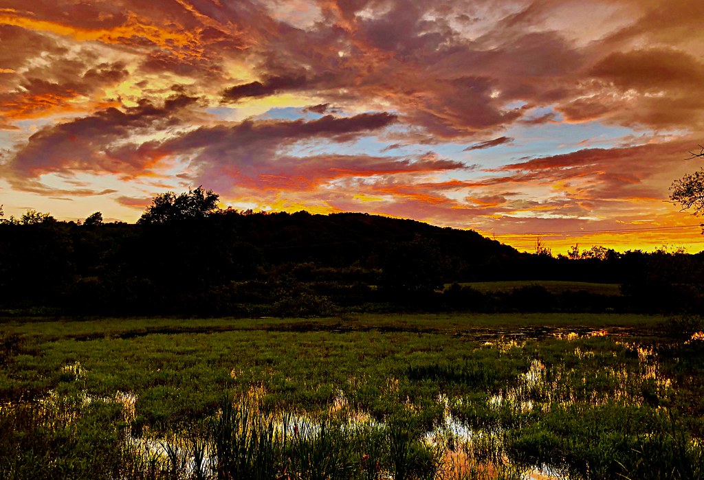 West Valley, New York. Van Man1. Flickr