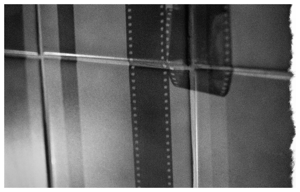Film Developing in Progress! Finishing the roll film dev… Flickr