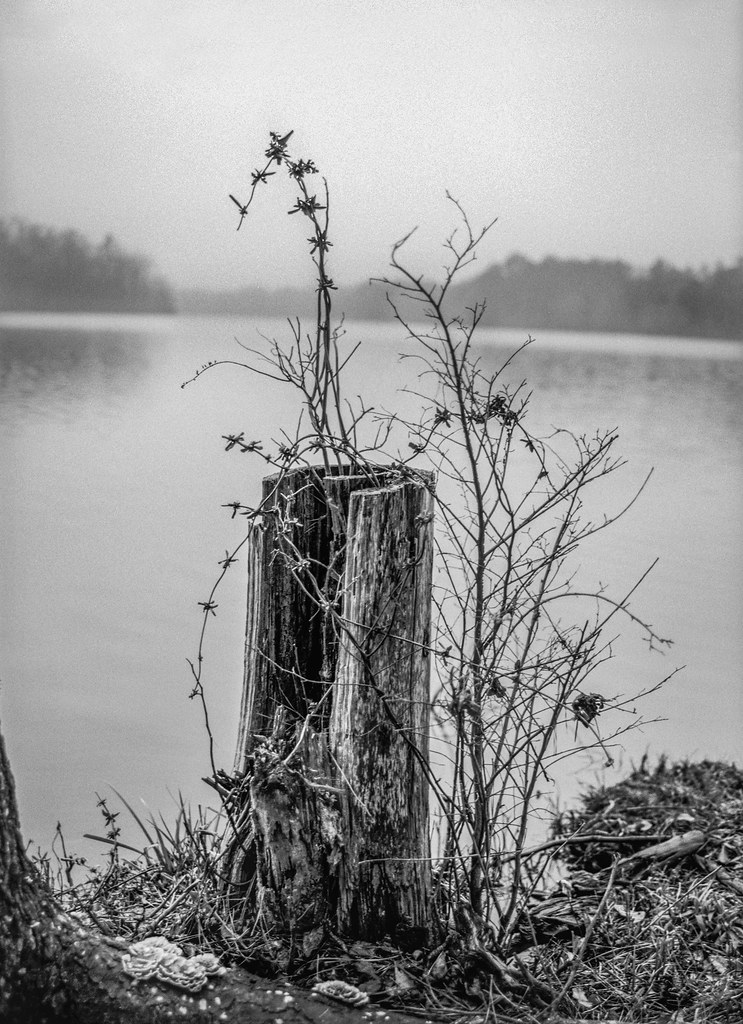 Stump Lake Meriwether Meriwether County near Woodbury, Geo… Flickr