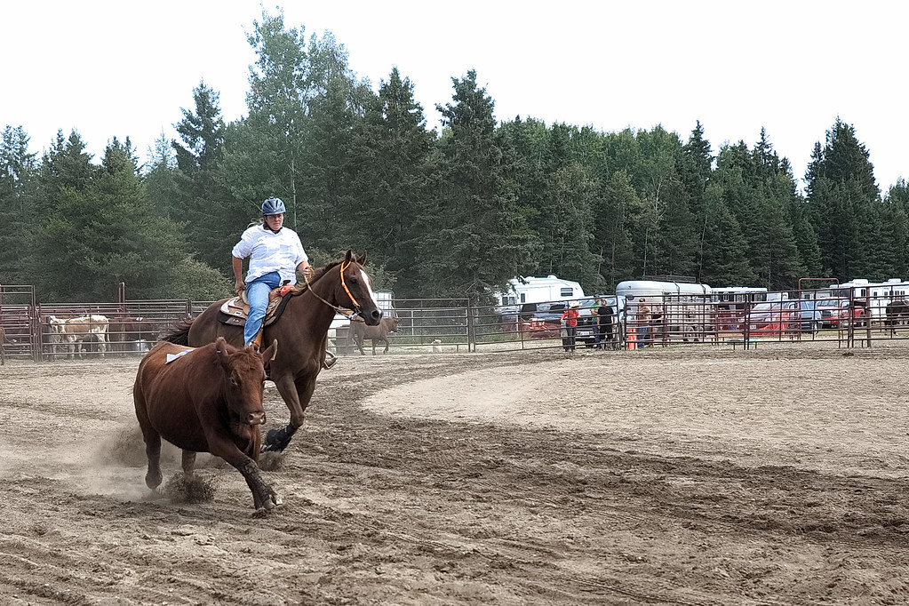Roping Murillo Fair 2019 Don't use this image on websites,… Flickr