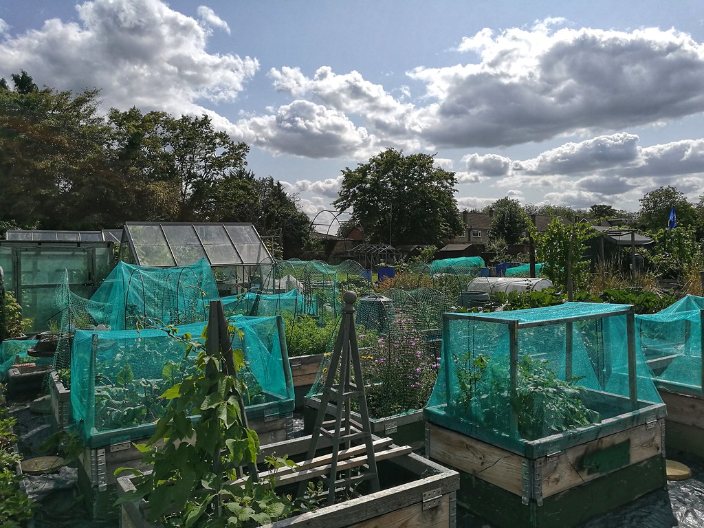 PBWA Rickmansworth Springwell Avenue Allotments Ian Wood Flickr