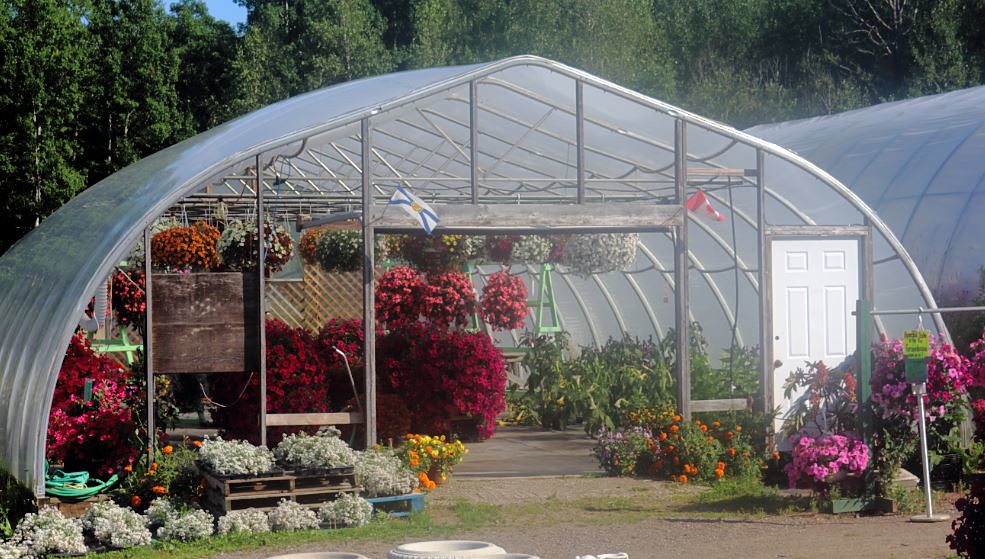 Doyles Farm Market South Alton chester902 Flickr