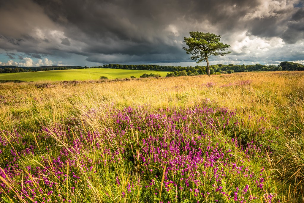 . The weather sometimes gets a bit turbulent thi… Flickr