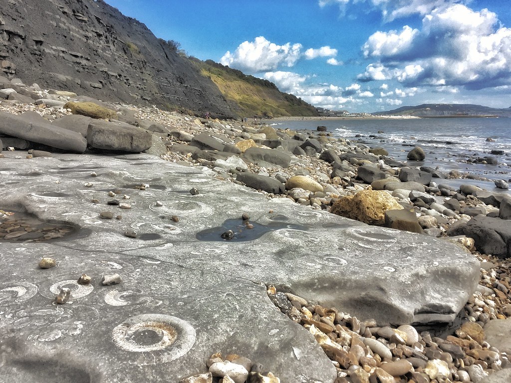 Ammonite Pavement, Lyme Regis a photo on Flickriver