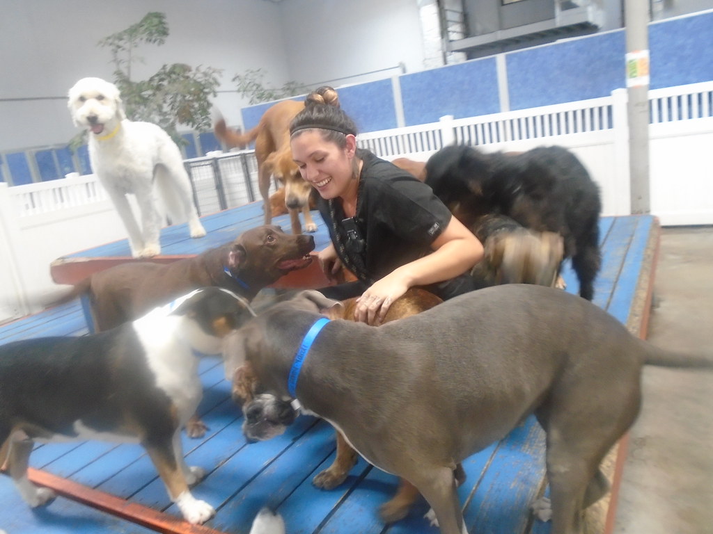 140 Dr. Boyd's Irvine Flickr