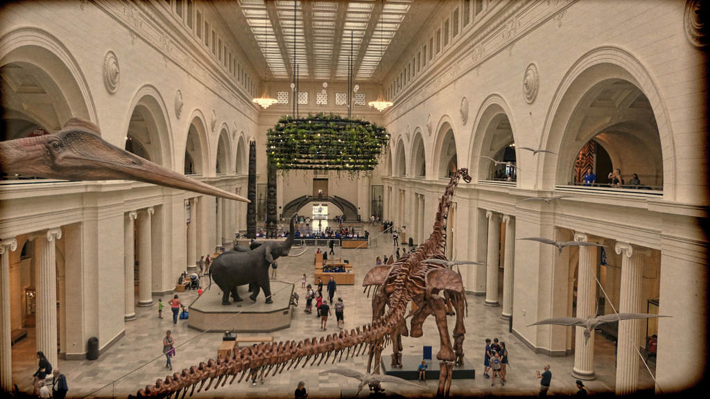 ATRIUM,FIELDS MUSEUM, CHICAGO EARLY 20TH CENTURY RENDITION… Flickr