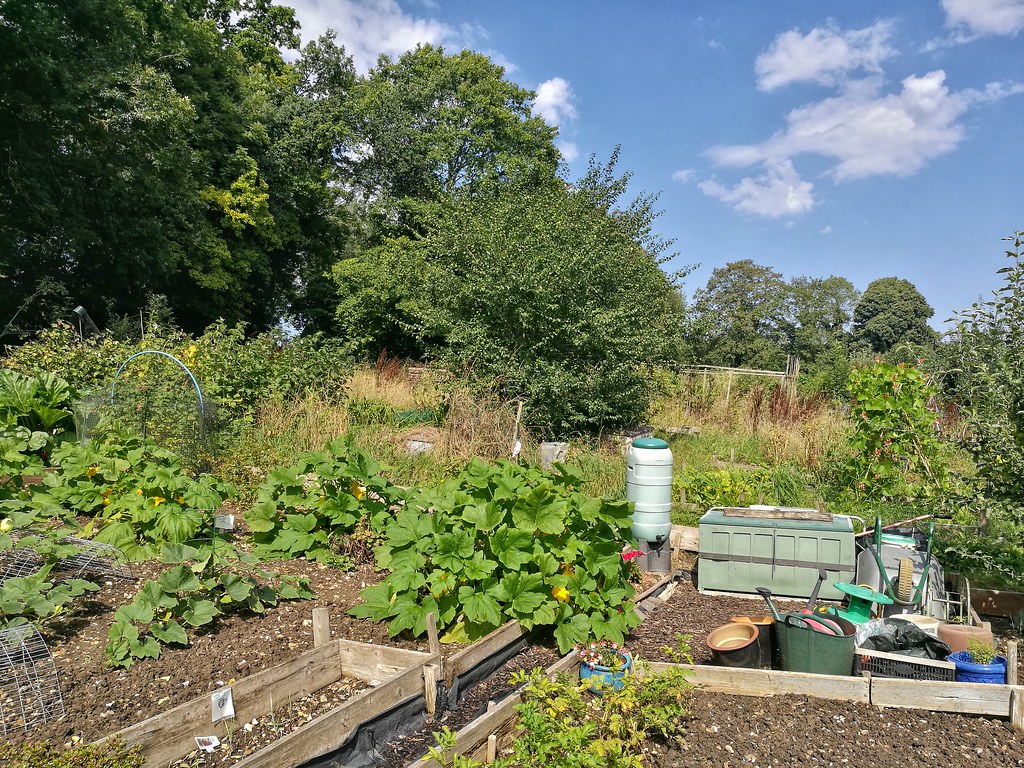 PBWA Chorleywood Dog Kennel Lane Allotments Ian Wood Flickr