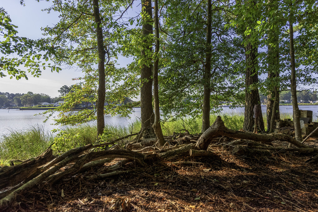 Pepper Creek Delaware Botanic Garden Dagsboro, Delaware Amy