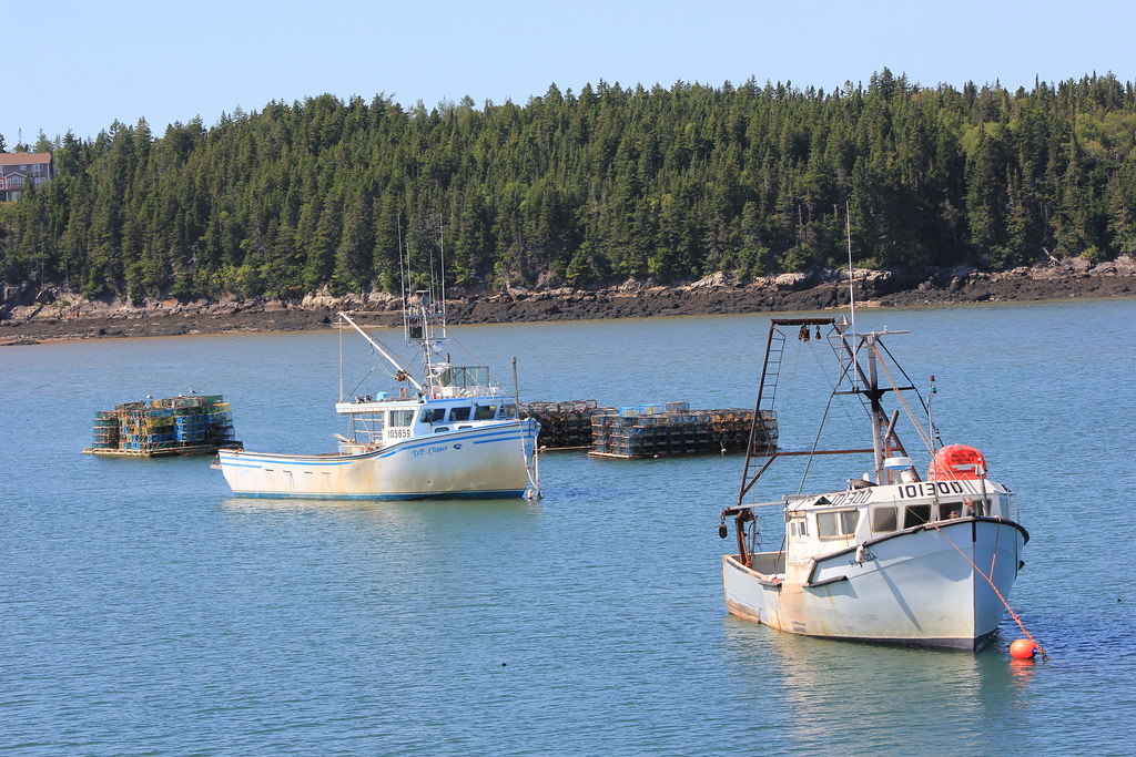 Dipper Harbour New Brunswick Faceyman Flickr