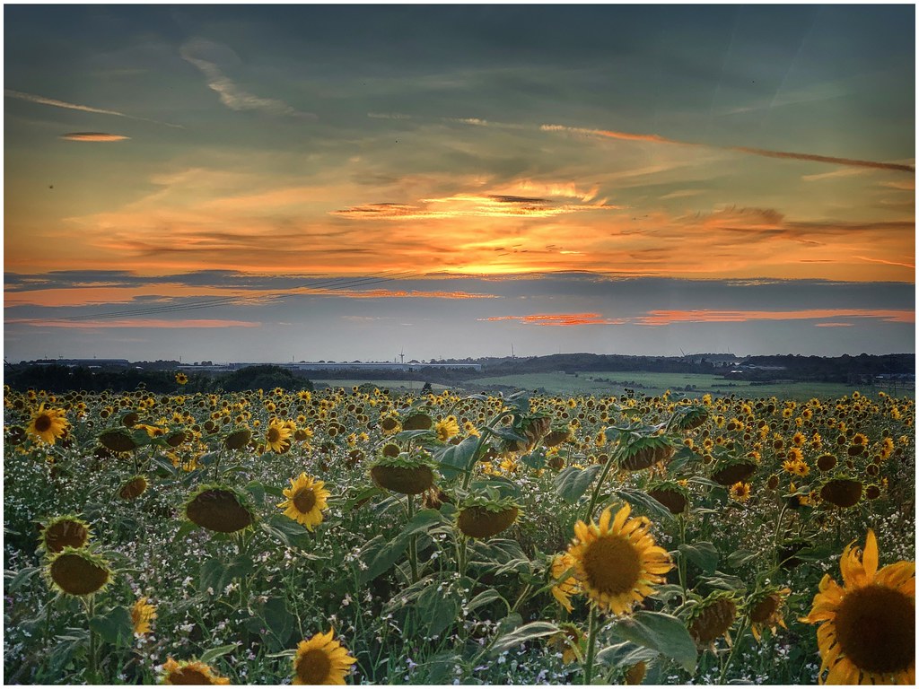 Elevation of Woodgates Cl, North Ferriby HU14 3JS, UK Topographic Map