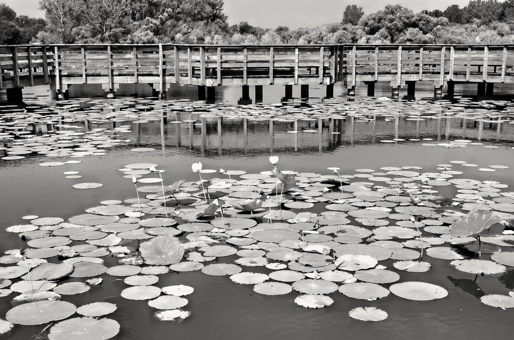 Carter Lake Omaha Philip Craft Flickr