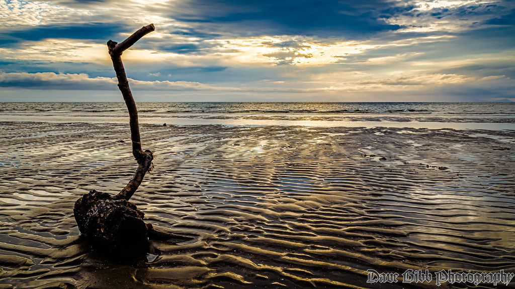 Driftwood Beach Driftwood, Ayrshire, Scotland David Gibb Flickr
