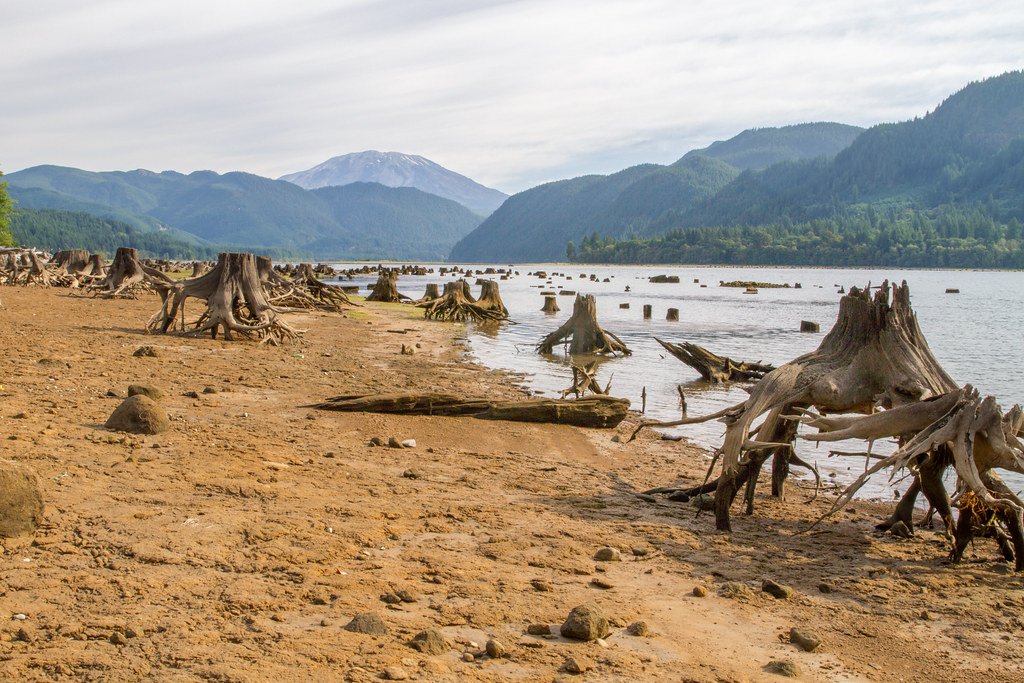 Yale Lake, WA Shawn Bohn Flickr