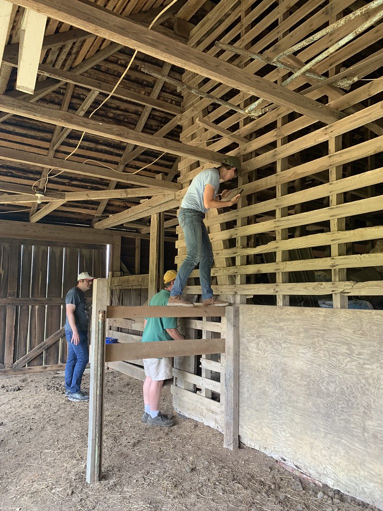 Summer 2019 at Cremona Farm MAPP Images Flickr