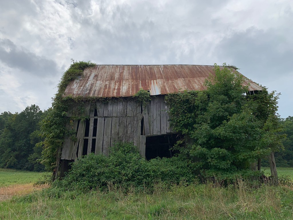 Cremona Farms For Sale at Rena Jenkins blog