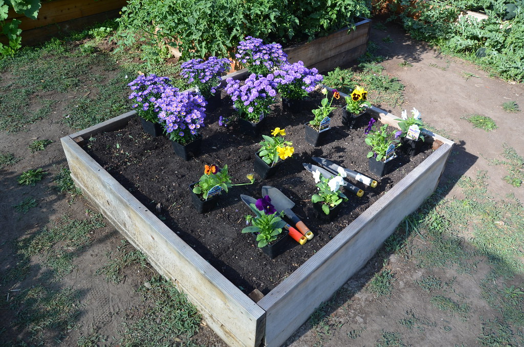 Raised bed Raised beds make gardening more accessible for … Flickr