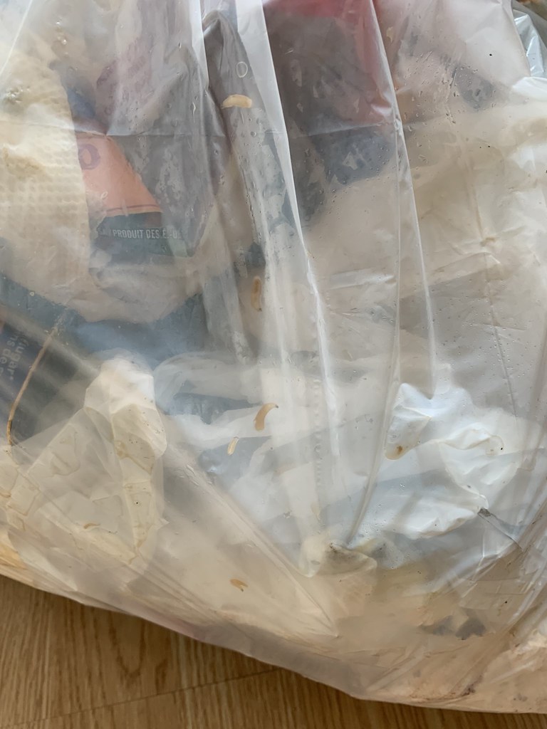 to take out the trash and then this was happened Flickr