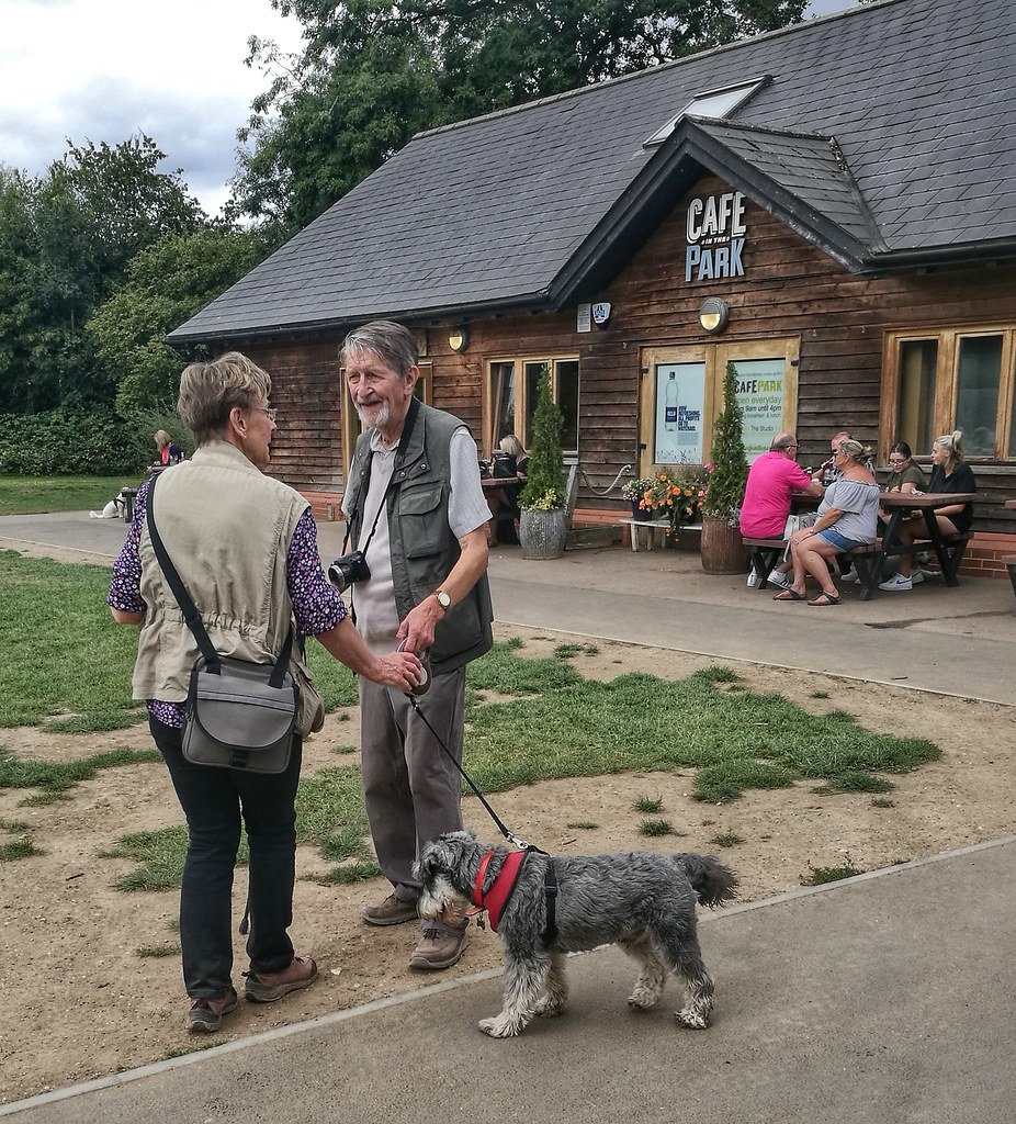 PBWA Rickmansworth Taking control of the dog Ian Wood Flickr