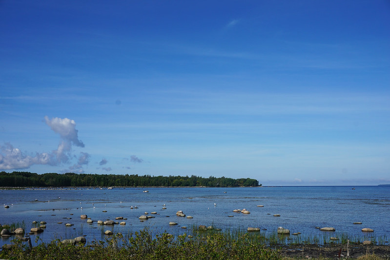 The cost of living in Estonia my real spending for a month in Tallinn