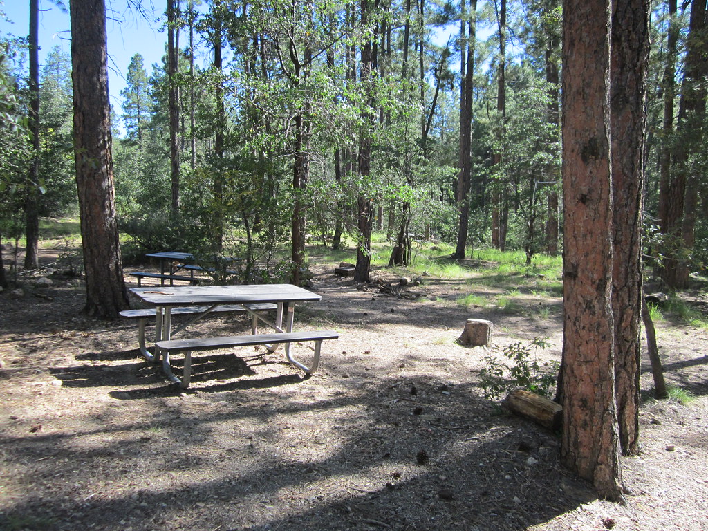 20130930_Prescott NF, AZ_R3_Turney Gulch Group Campground_… Flickr
