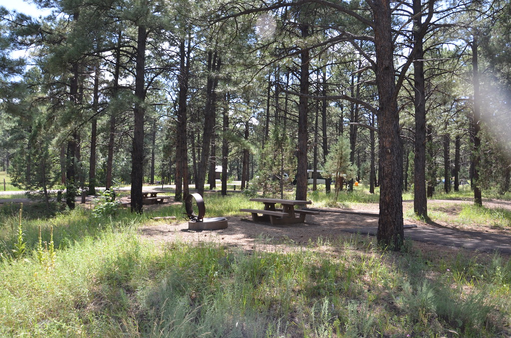 20150821_Prescott NF, AZ_R3_Potato Patch Campground_007 (U… Flickr