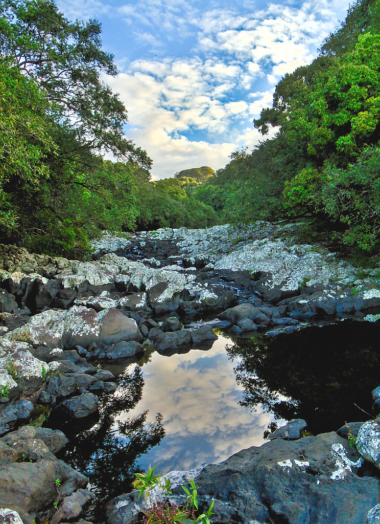 Bassin "BoeufGrondin" à Ste Suzanne Île de la Réunion Flickr