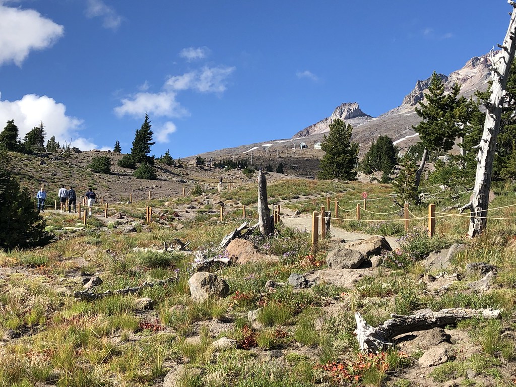 Mount Hood Loop Carol Munro Flickr