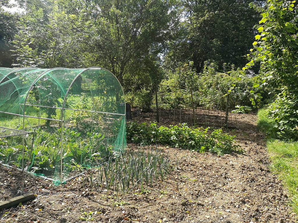 PBWA Chorleywood Dog Kennel Lane Allotments Ian Wood Flickr
