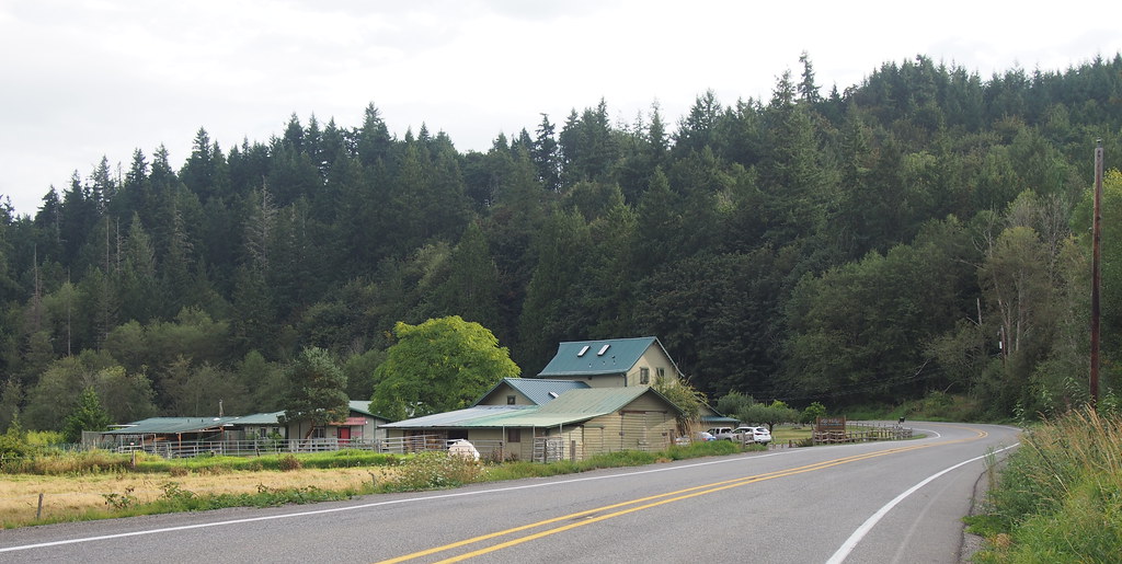 Big Valley Pet Resort Neil Hodges Flickr