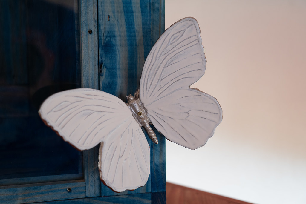 Butterfly The Abilene Zoological Gardens is a small 16acr… Flickr