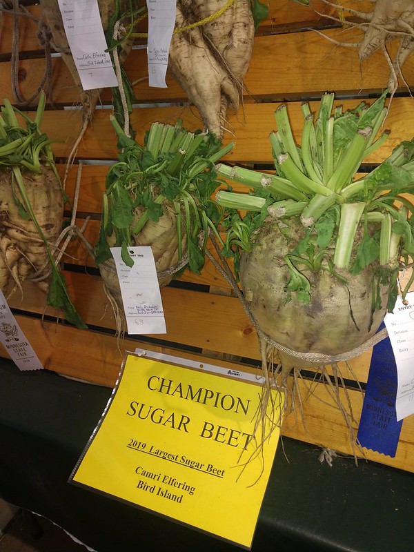 DeepFried Hot Dish on a Stick The Minnesota State Fair Adventures