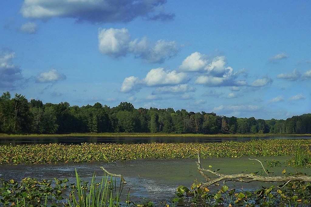 SCENIC OHIO...PORTAGE COUNTY, OHIO Taken at Mogadore Reser… Flickr