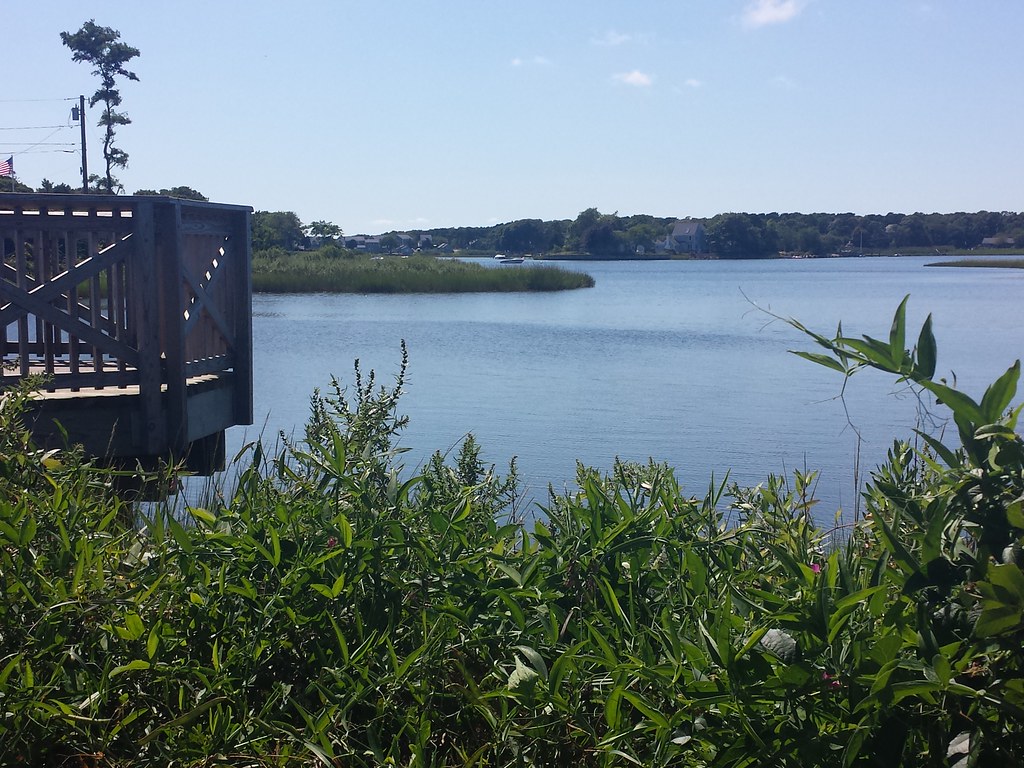 My Hidden Cove.... undiscovered Cape Cod secrets... Art